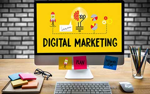 SEO & Digital Marketing